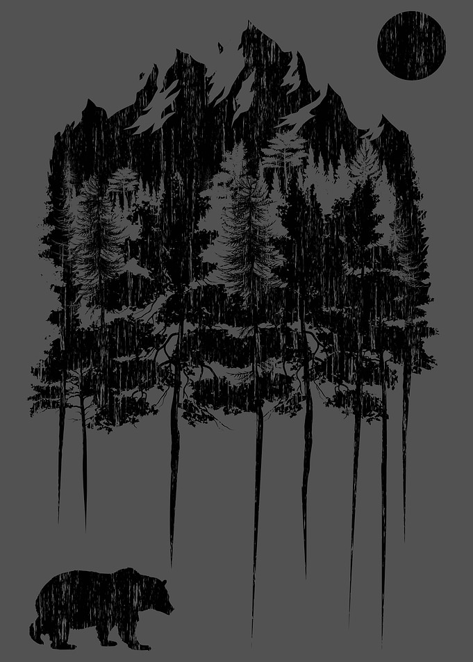 The Bear Peaks