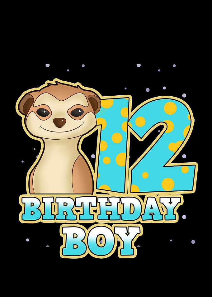 Birthday Boy 12 Meerkat