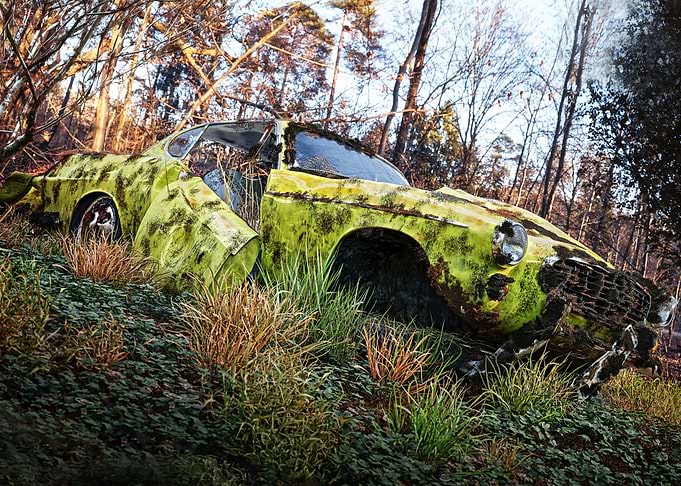 sad forest clearing
