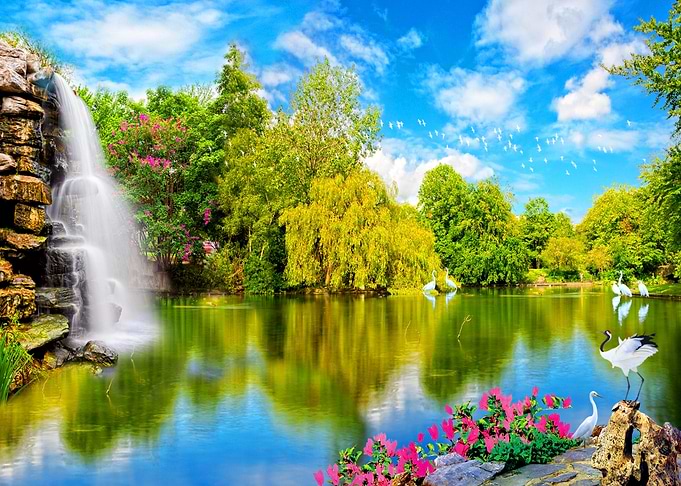 Waterfall in Forest Nature