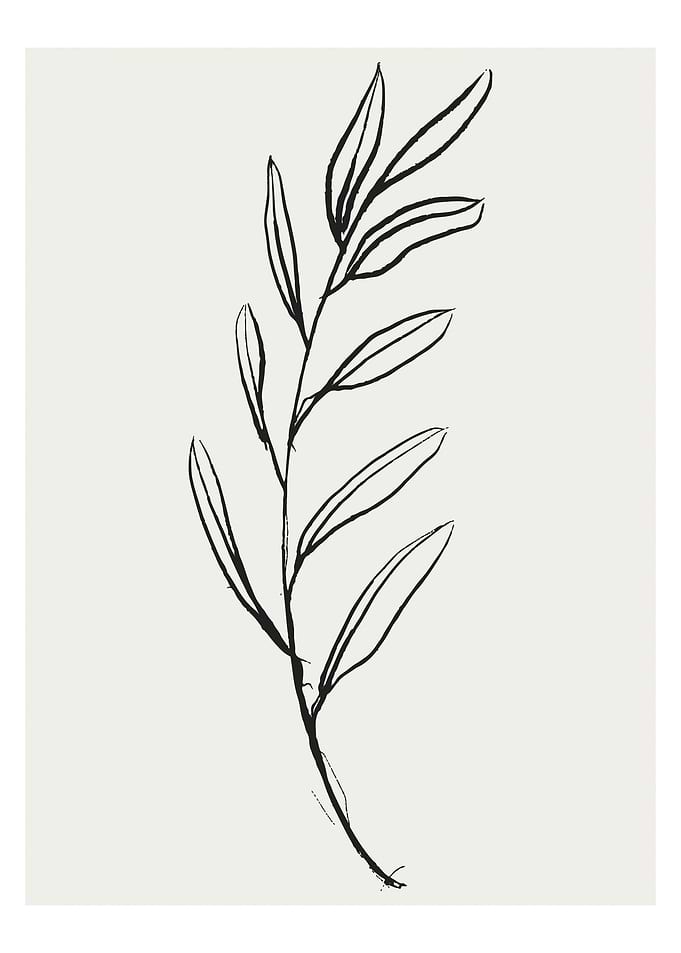Botanical Leafy Line Art