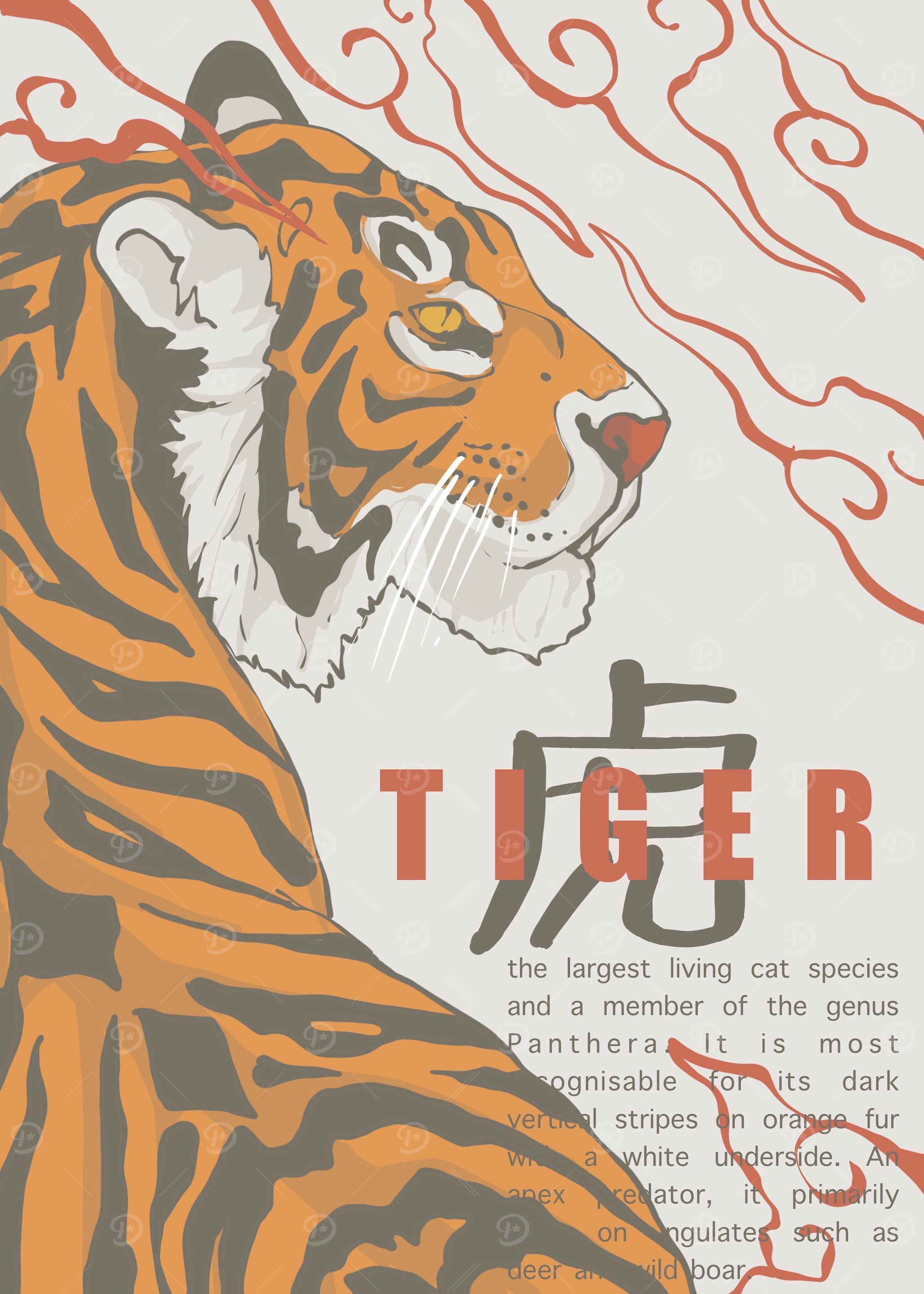 tiger