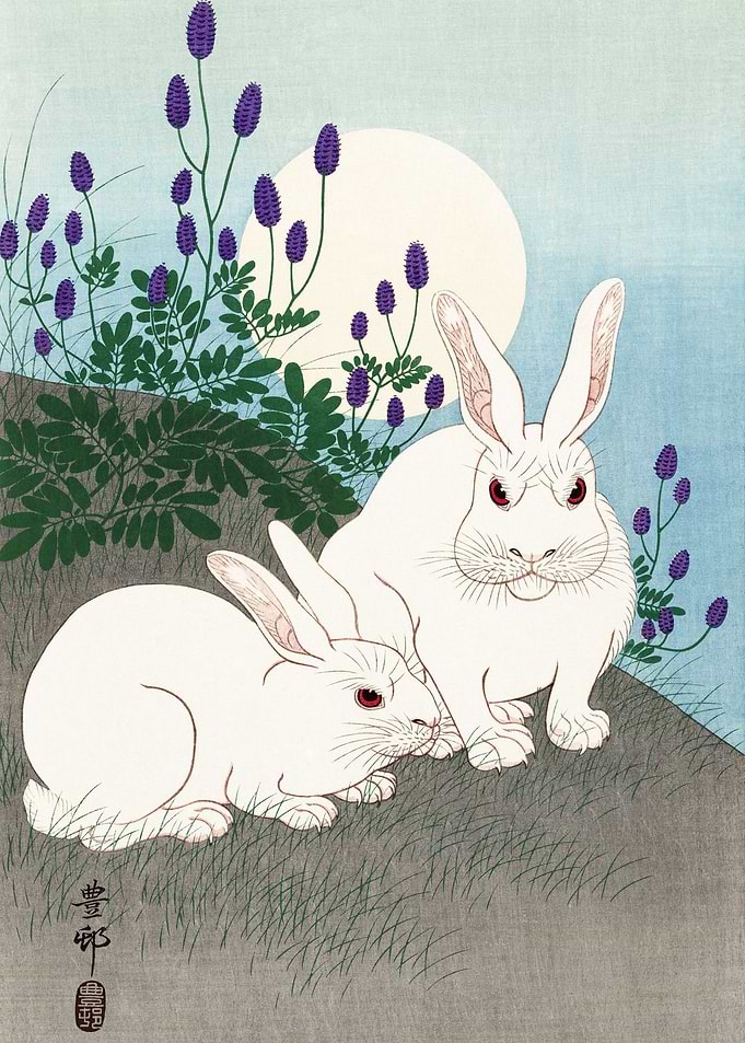 Rabbits at full moon
