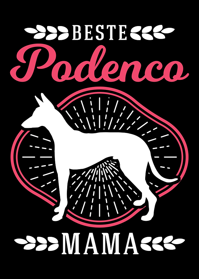 Beste Podenco Mama Windhun