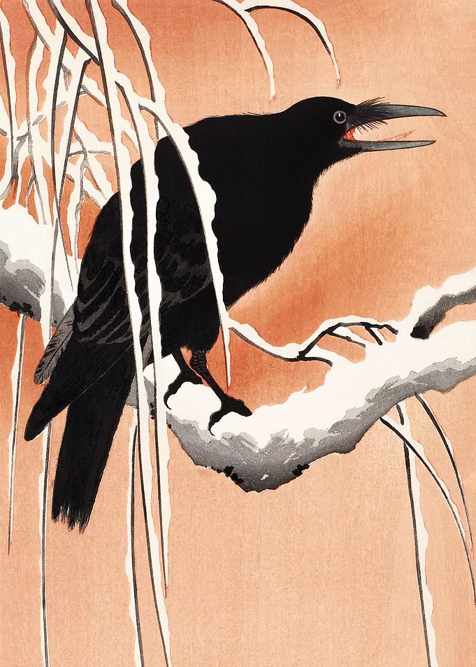 Crow on snowy branch