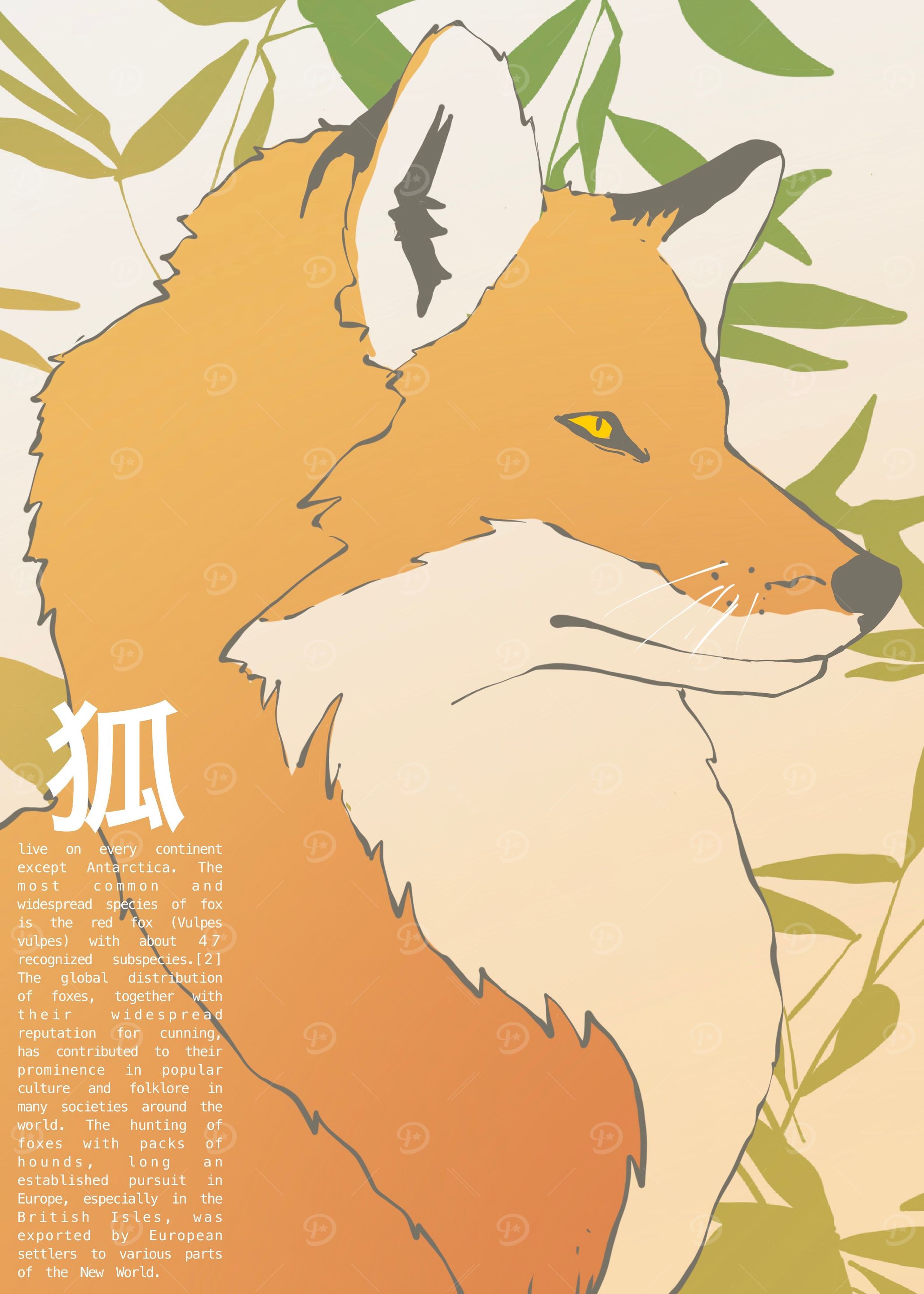 Fox