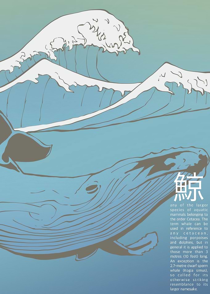Whale