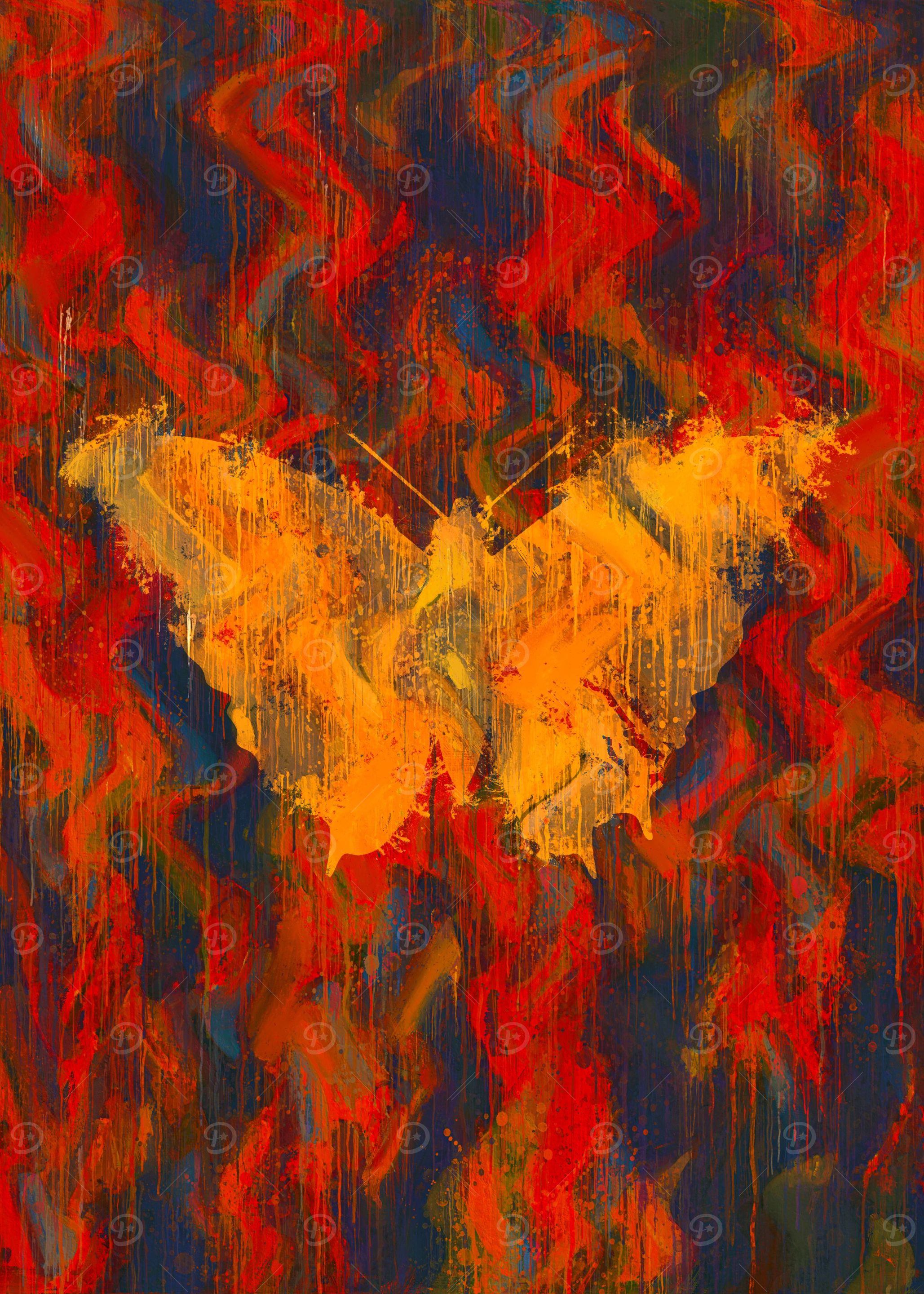 Butterfly