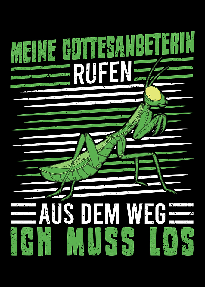 Meine Gottesanbeterin ruft