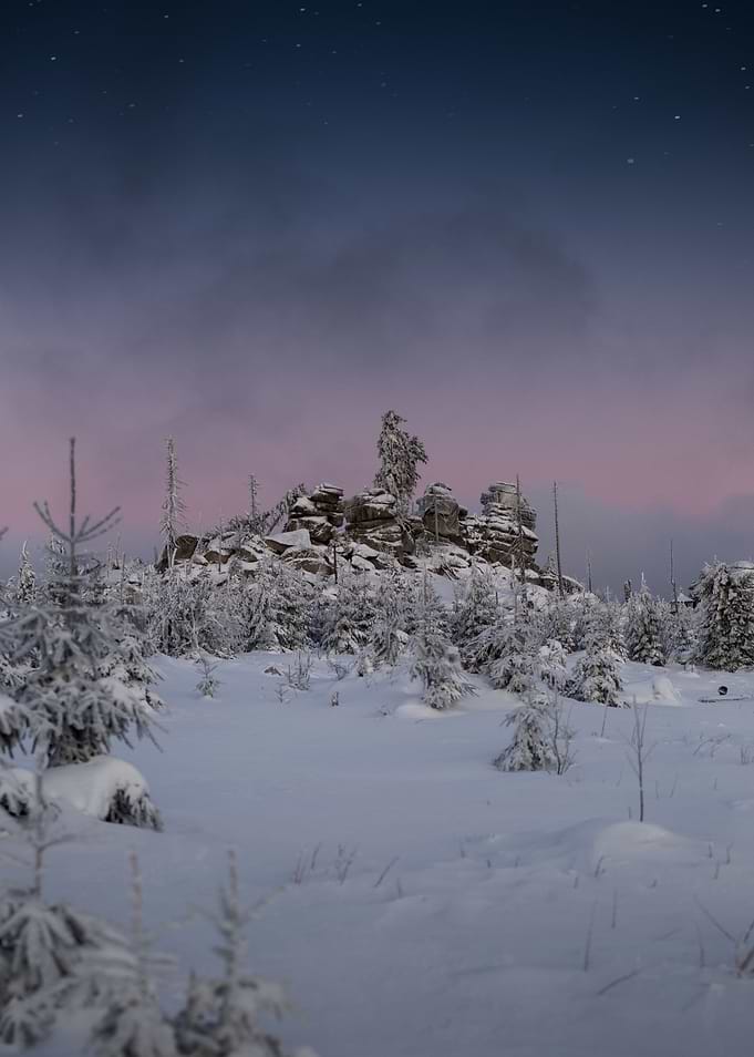 Winterwonderland