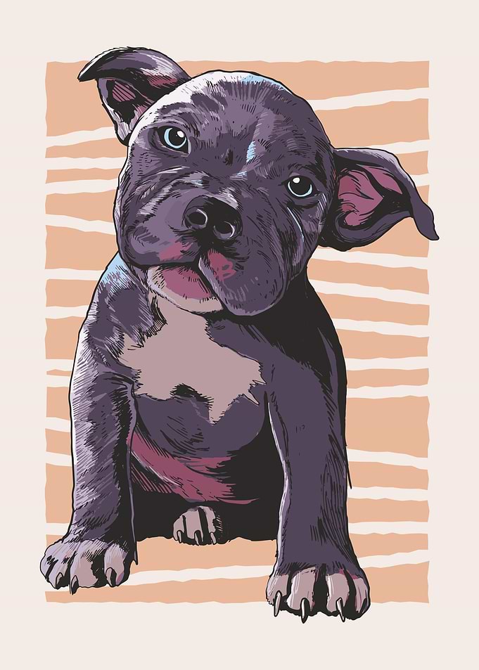 Pitbull Portrait Pup
