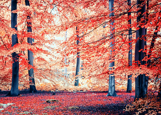 October Mood