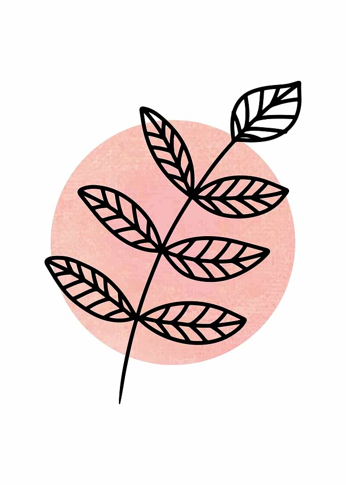 botanical art