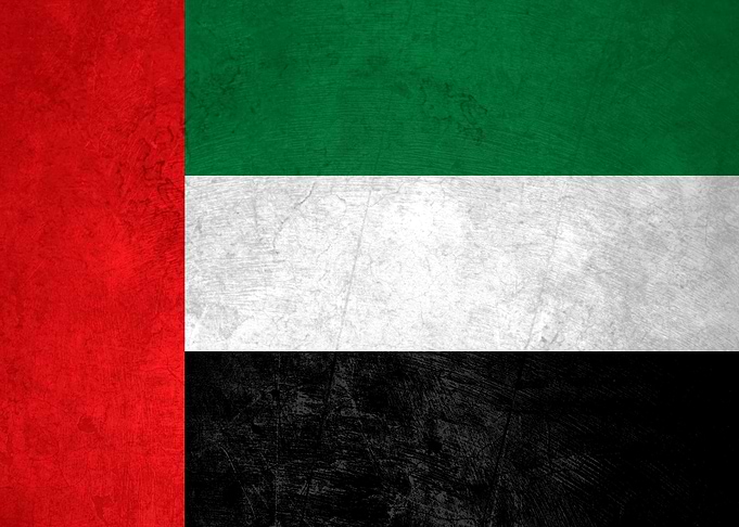 Flag of UAE on Wall