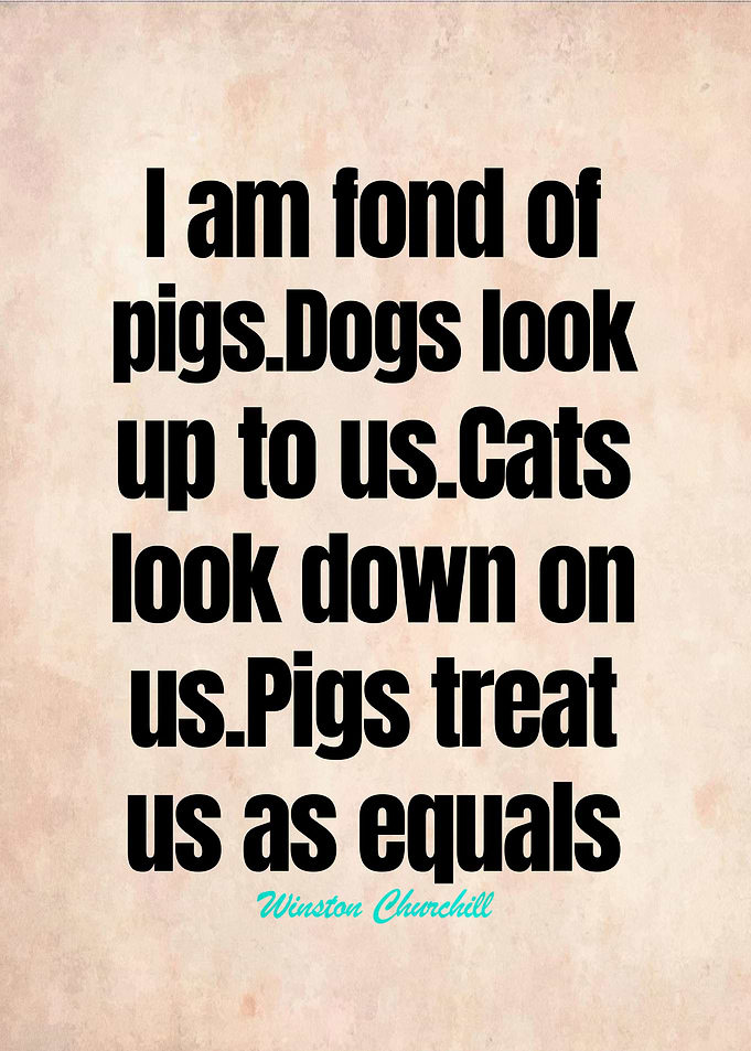 Winston Churchill Quotes