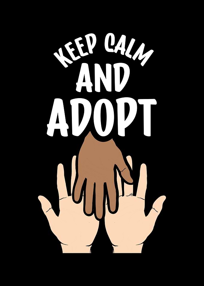 Adoption Adopted Child