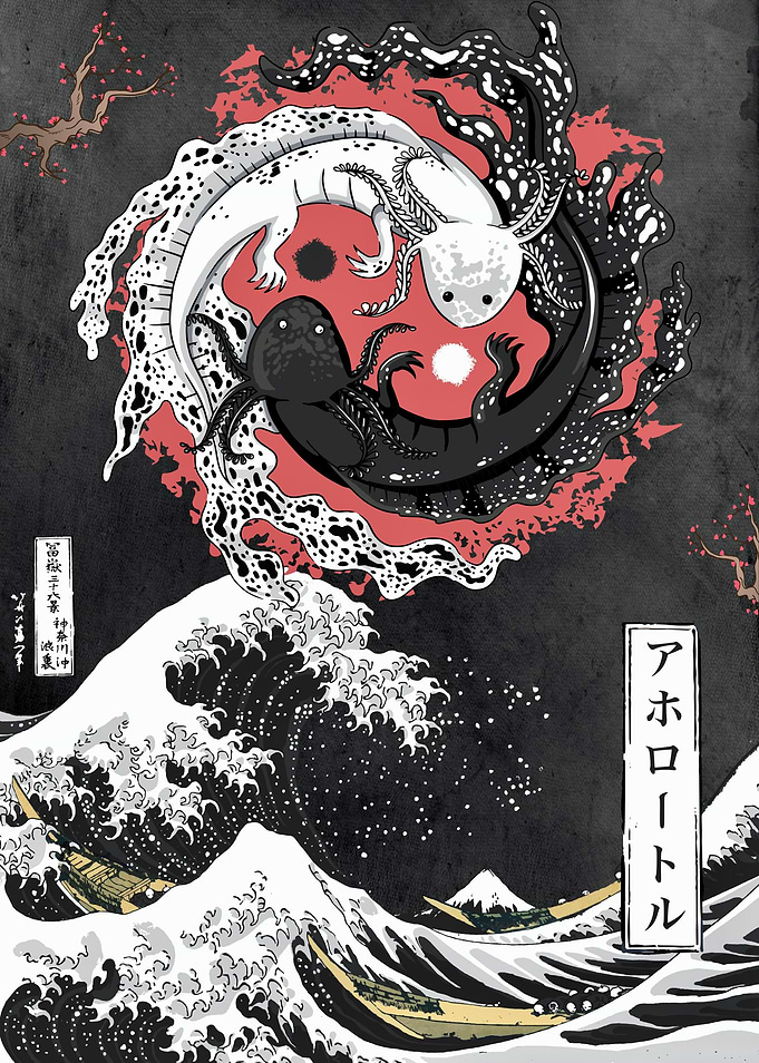Yin yang Axolotl Kanagawa