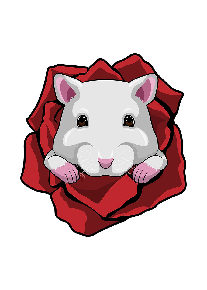 Hamster Rose