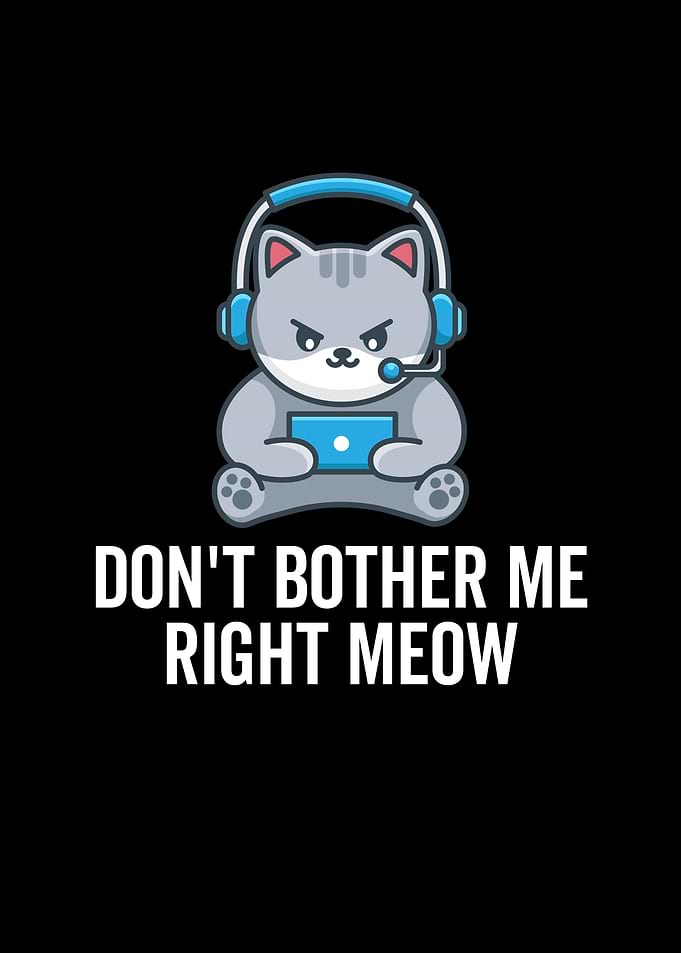Dont Bother Me Right Meow