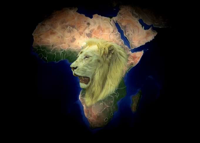 White lion