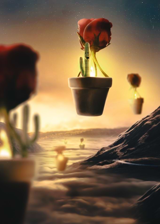 carl the cacti