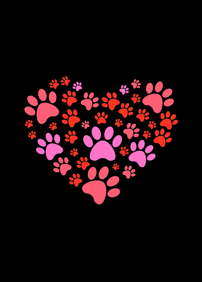 Paws Print Heart Shape Dog