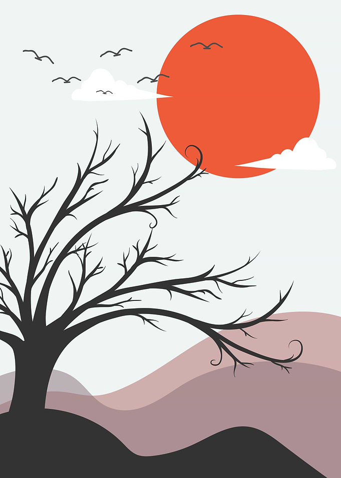 Sun Mountain tree birds