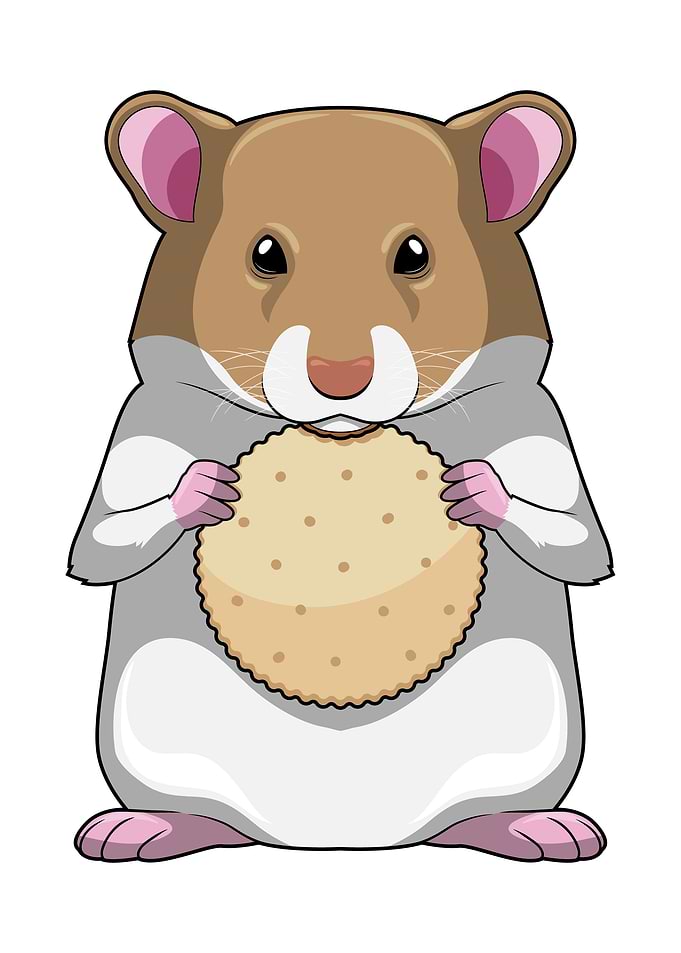 Hamster Biscuit