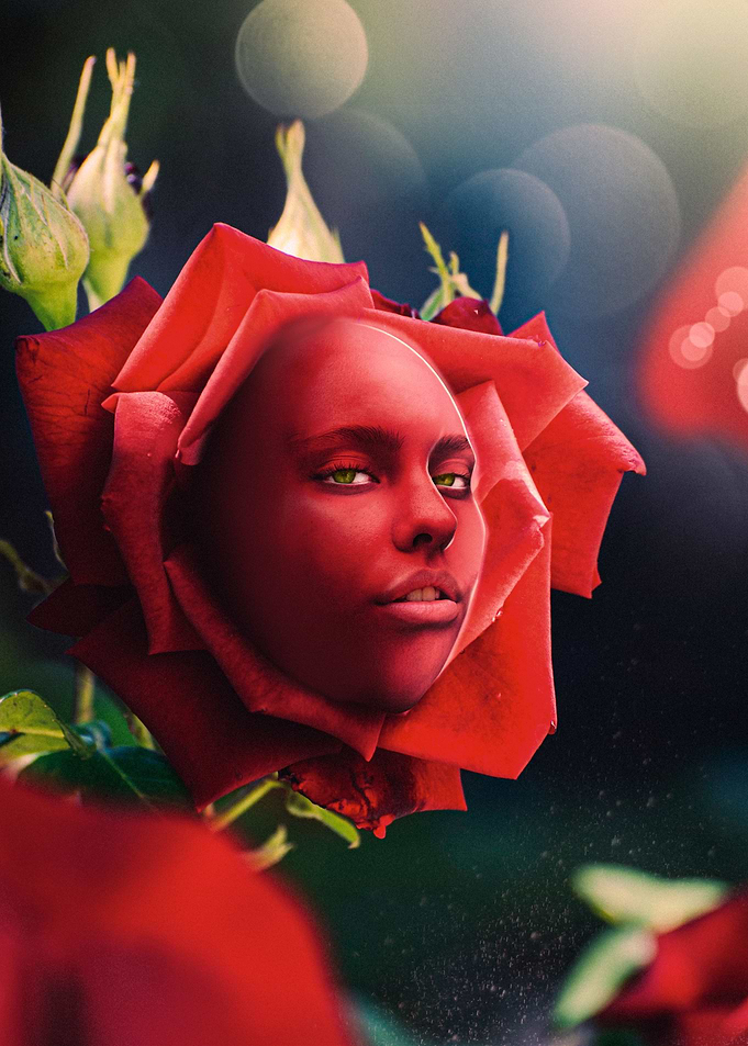 Rosie