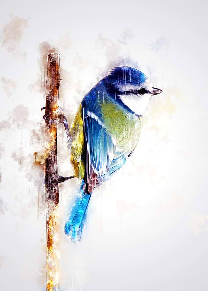Bird on twig