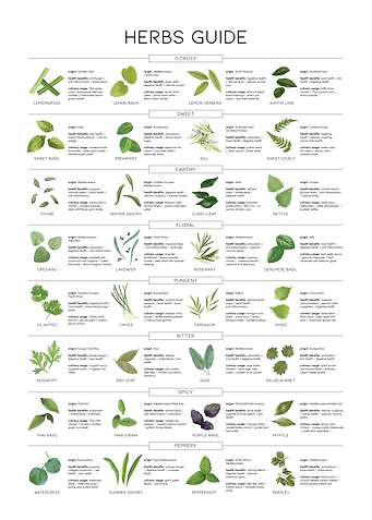 Essential Herbs Guide