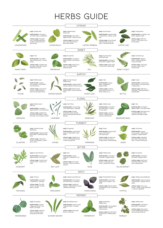 Essential Herbs Guide