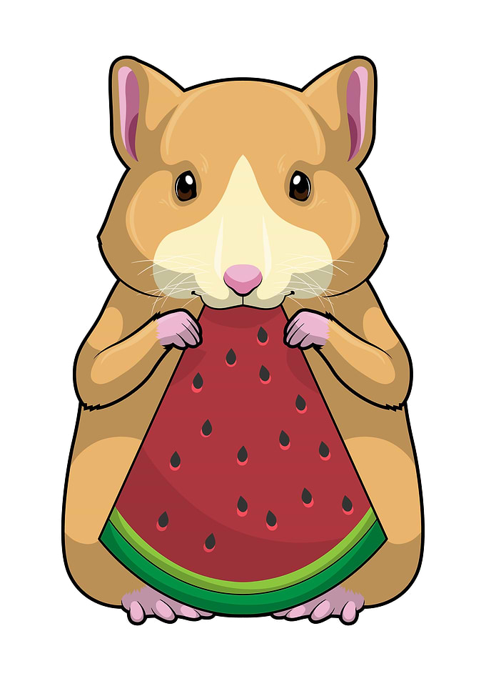 Hamster Watermelon
