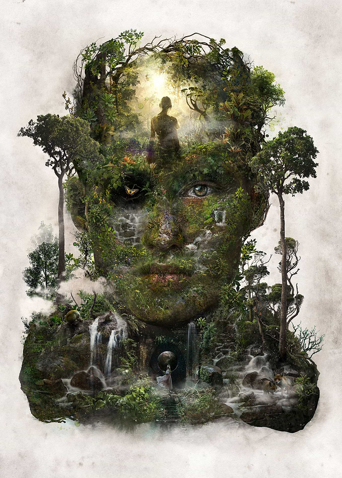 Forest of Space Time