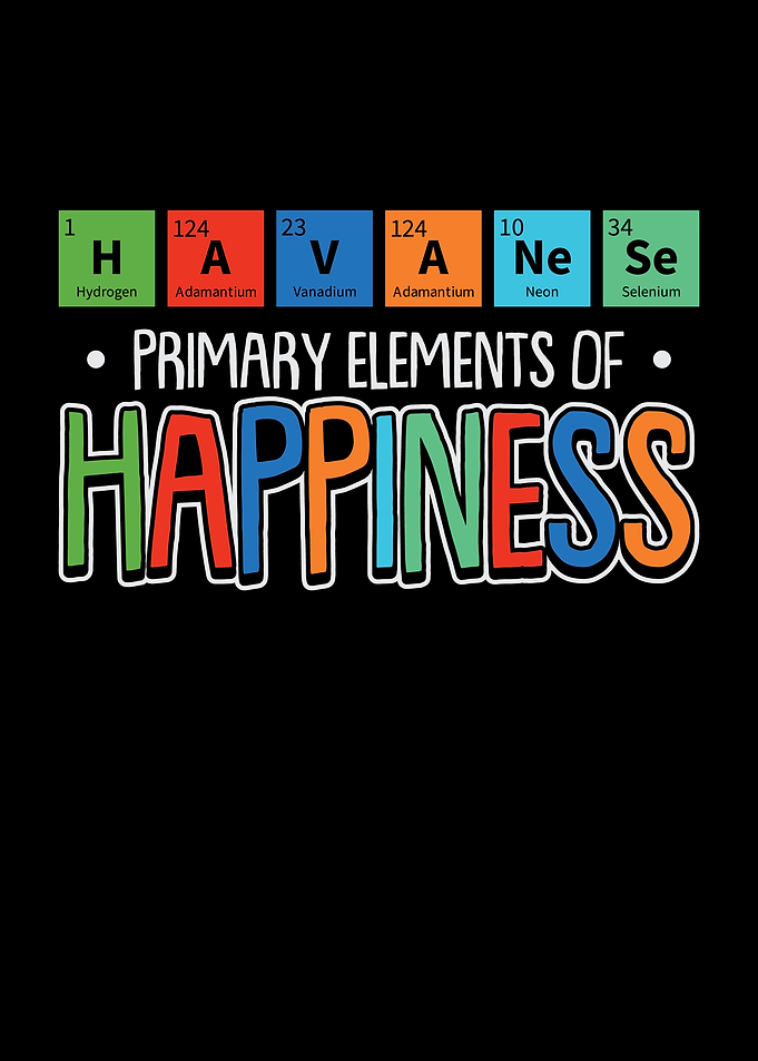 Primary Elements Of
