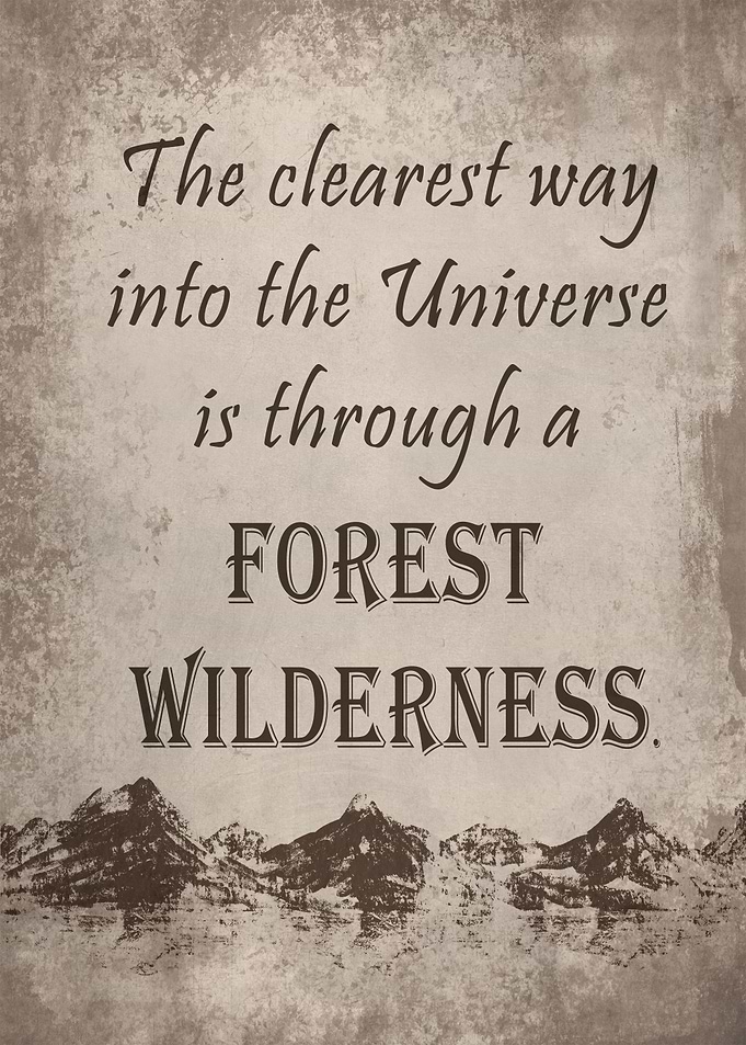 Way into the Universe