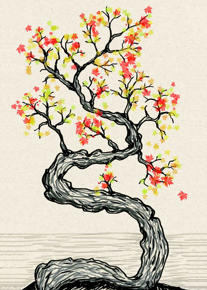 Crooked tree
