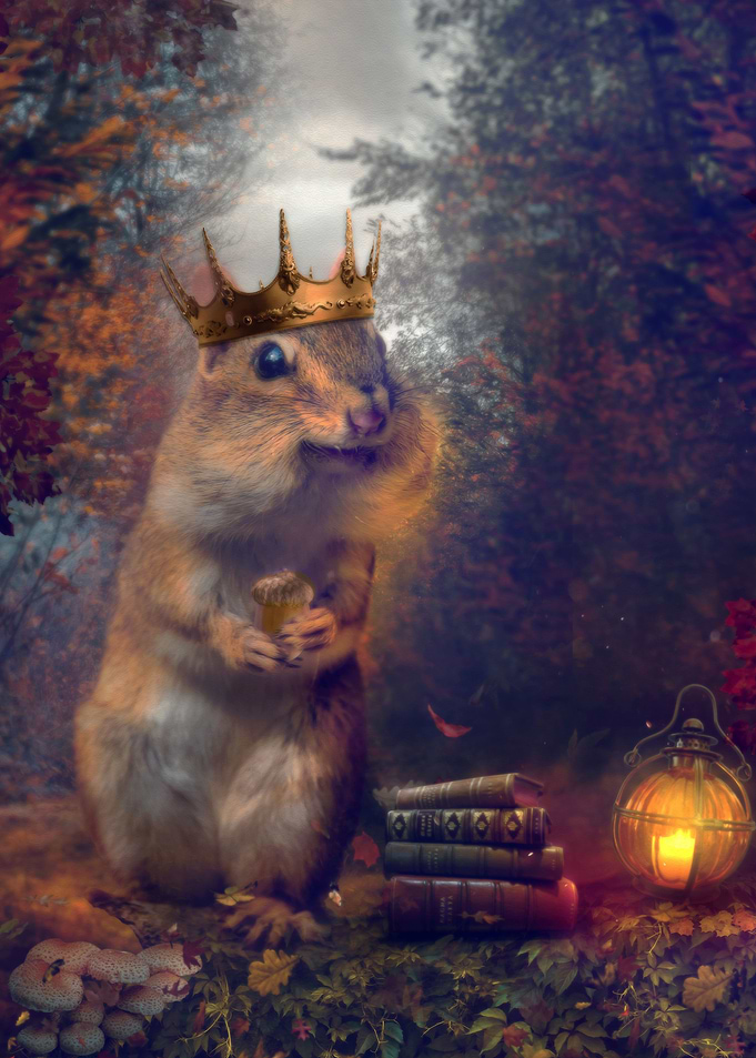 Little Prince