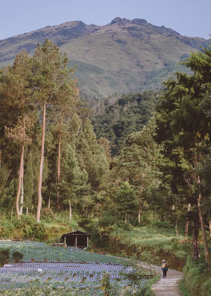 view