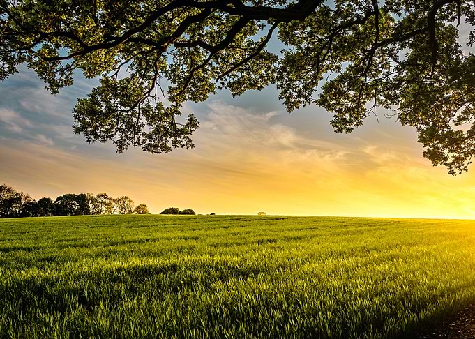 Nature Photography