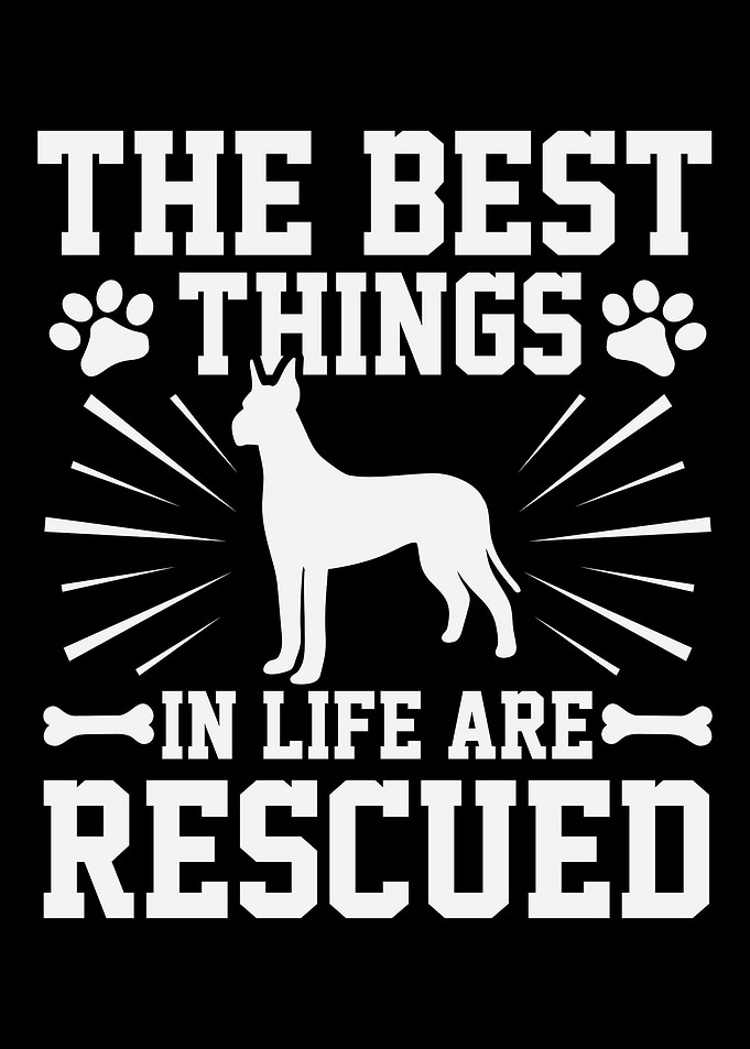 Dog Rescue Adoption