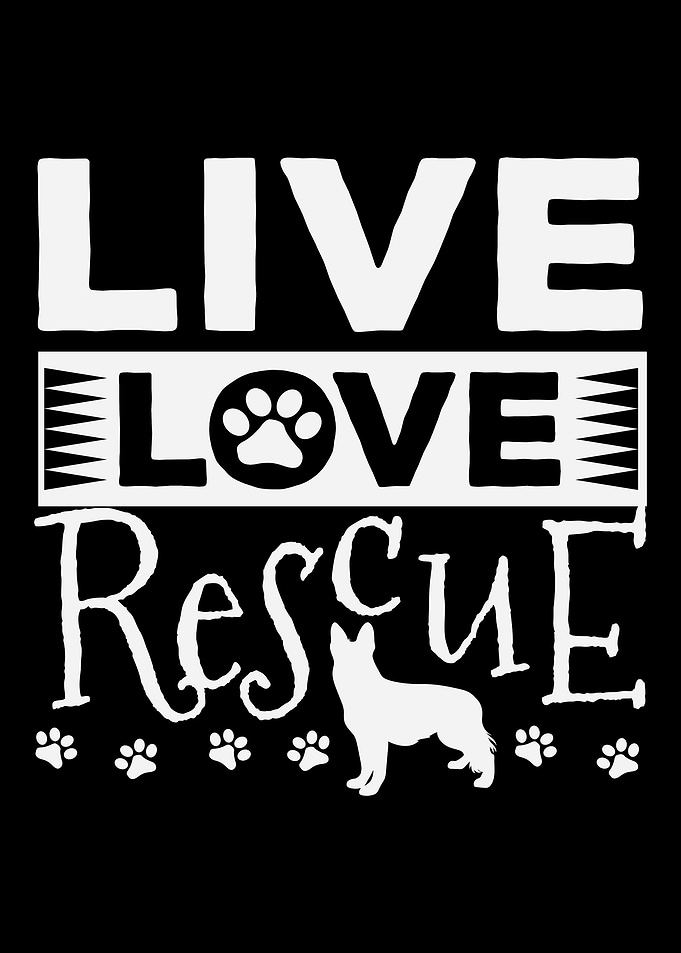 Dog Rescue Adoption