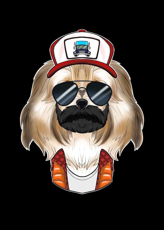 Truck Driver Havanese