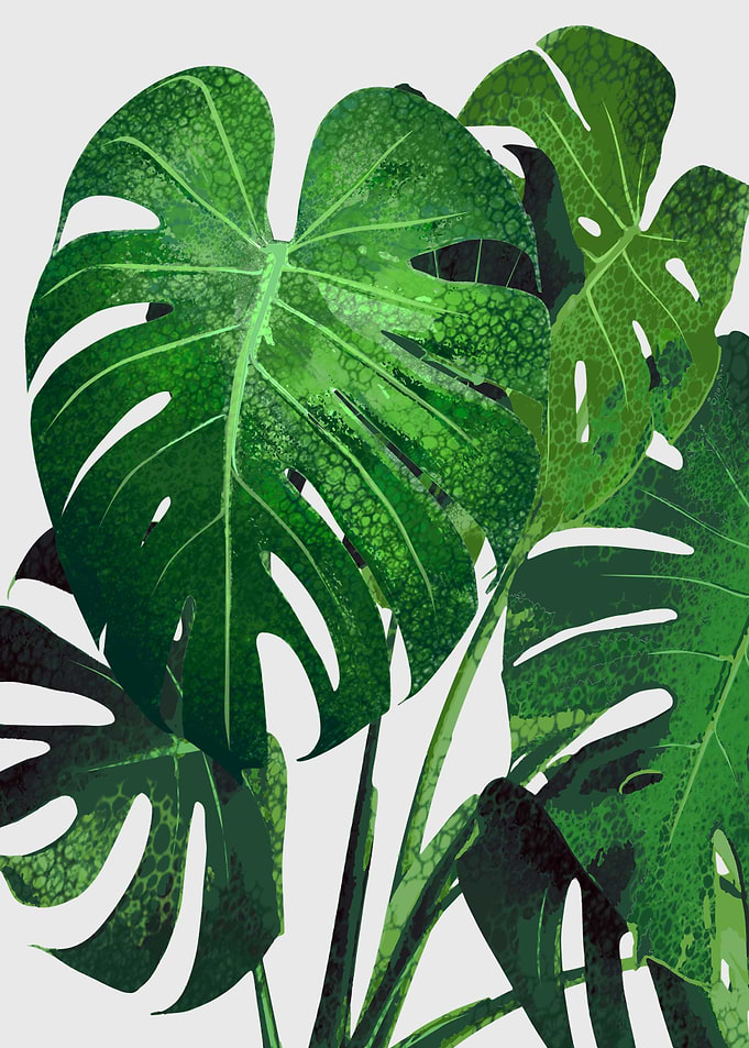 tropical plant