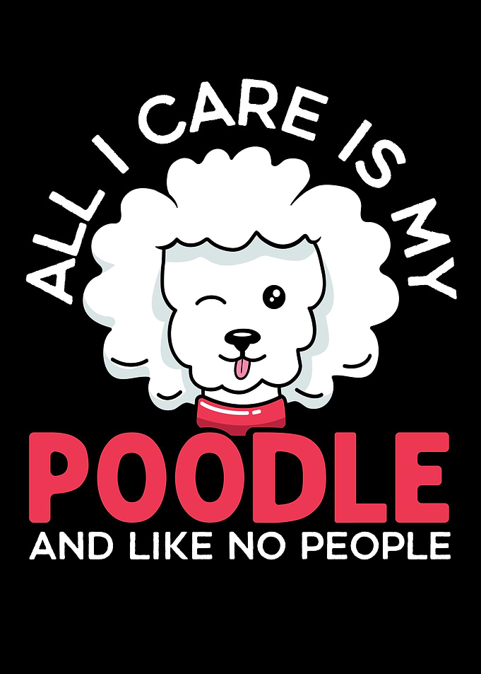 Poodle Owner Dog Lover