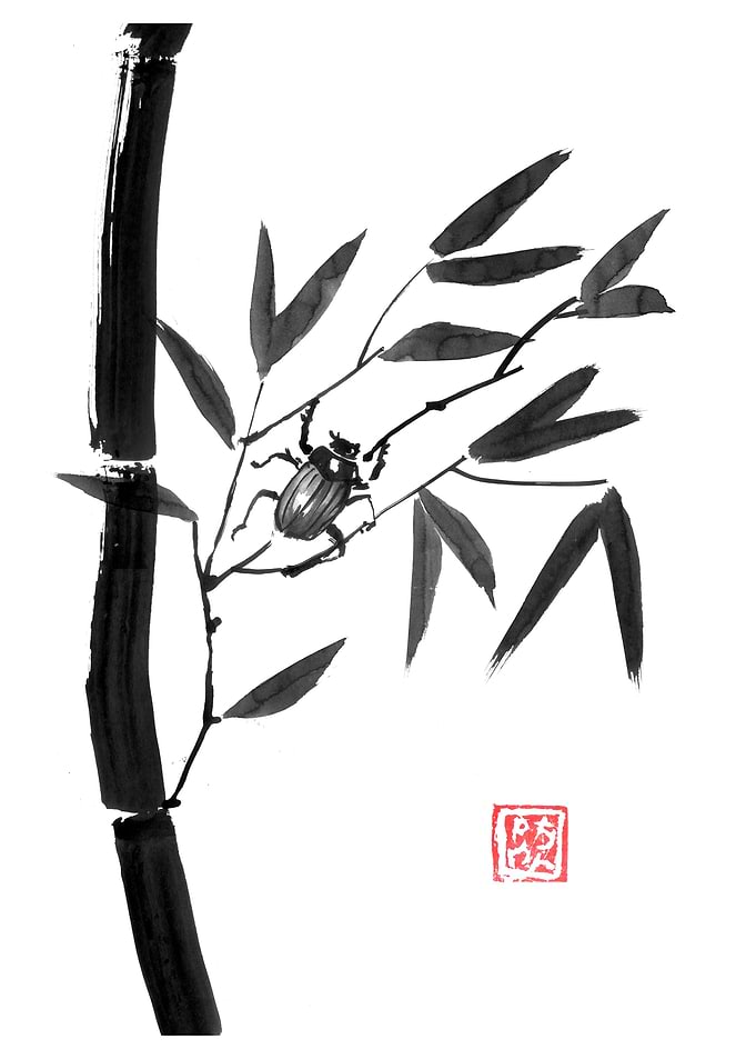 bamboo and beetle