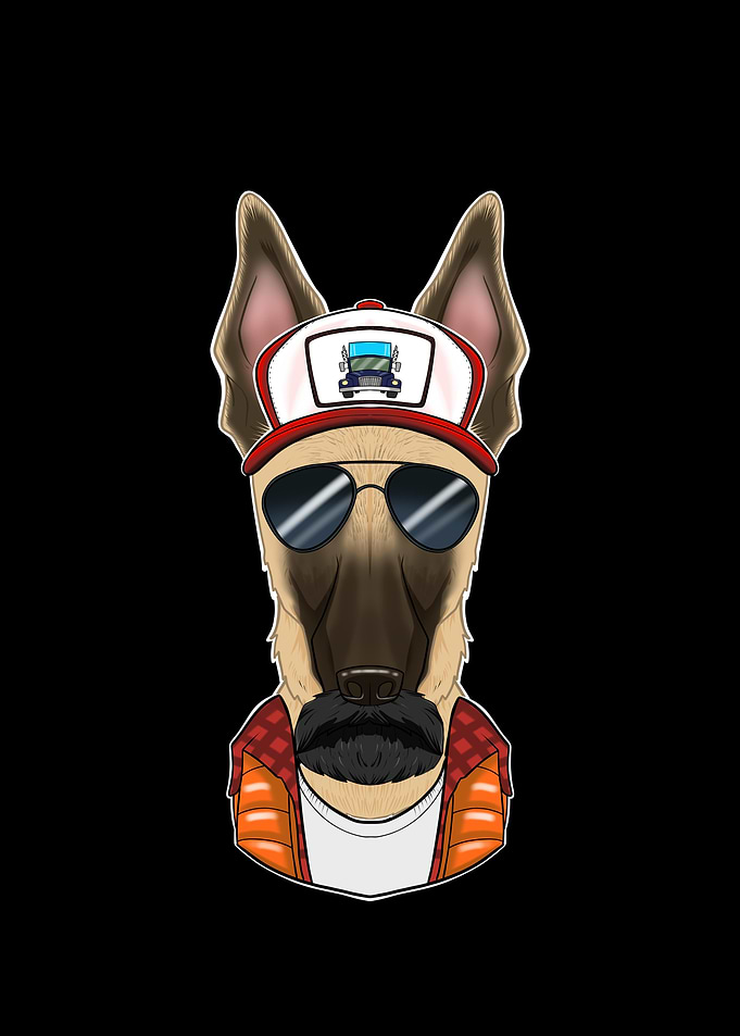 Truck Driver Malinois