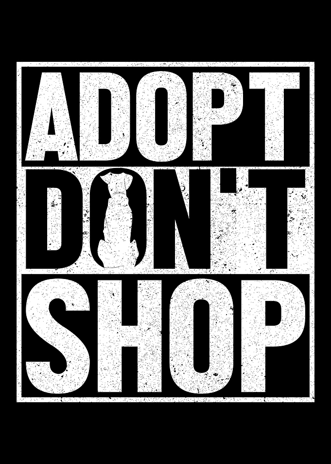 Dog Rescue Adoption