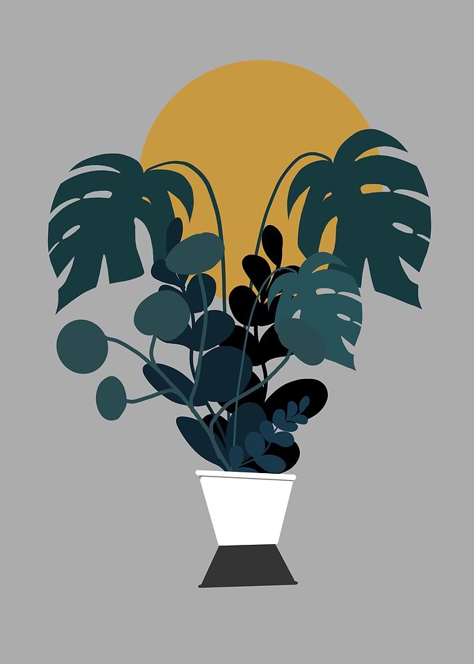 Plants in a Sunrise
