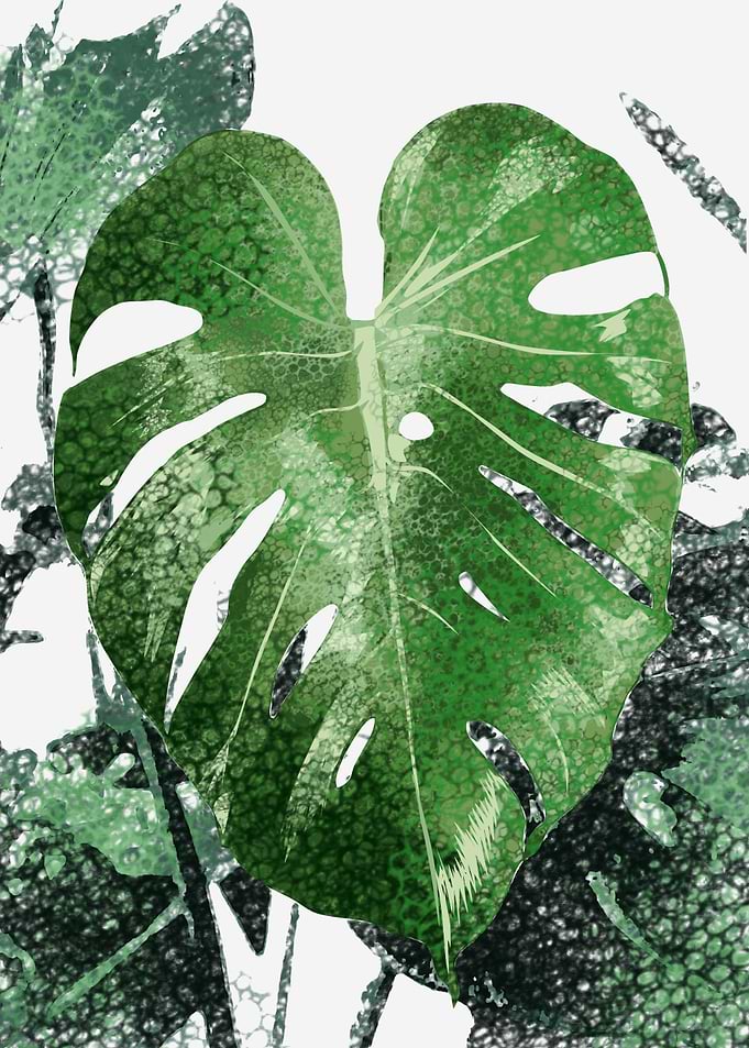 tropical plant